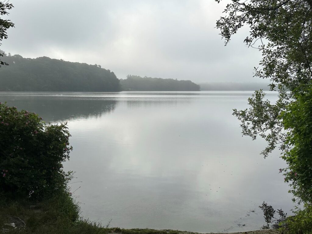 Early morning fog at Santuit Pond boat ramp.