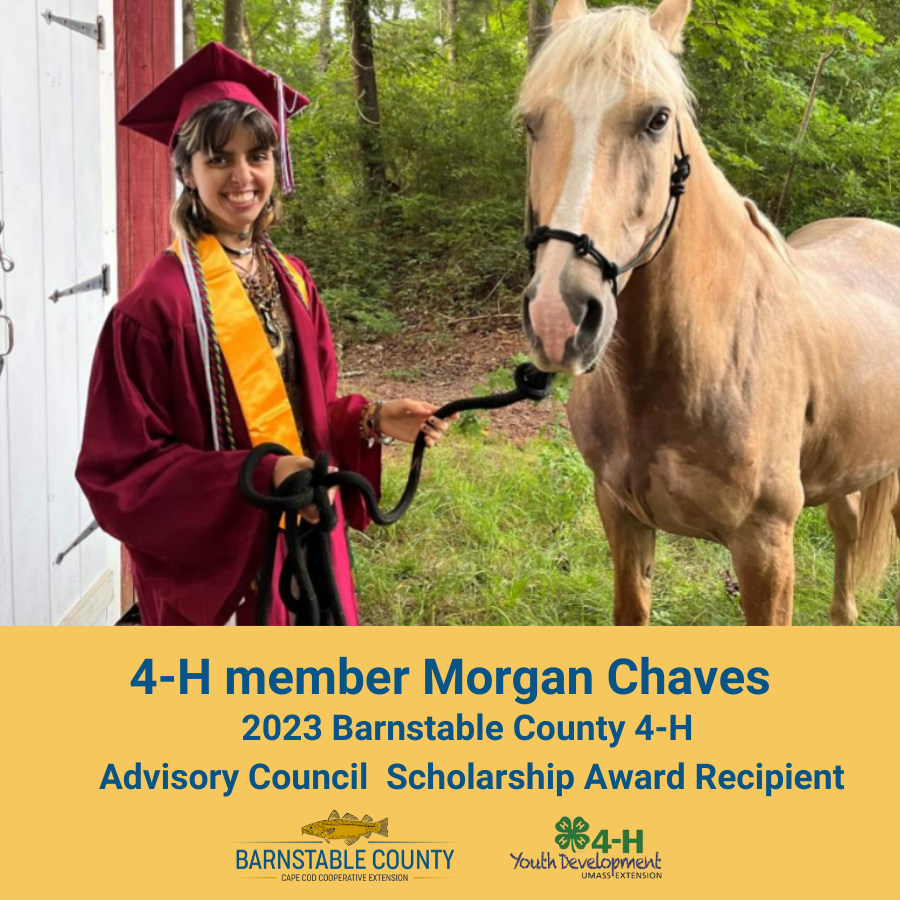 2023-Scholarship-4-H-member-Morgan-Chave