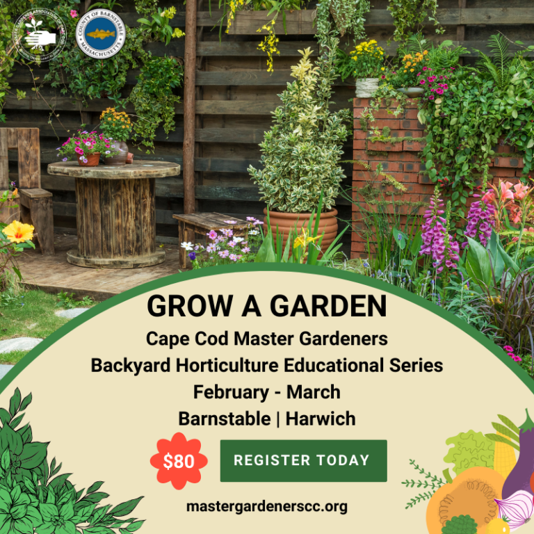 Unlock Your Gardening Potential Backyard Horticulture Educational Series by Master Gardeners