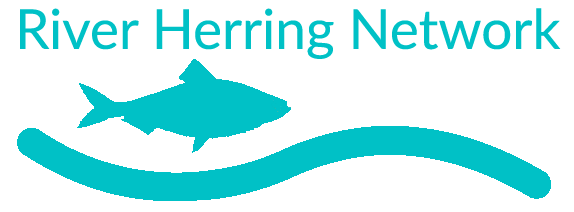 Massachusetts River Herring Network logo