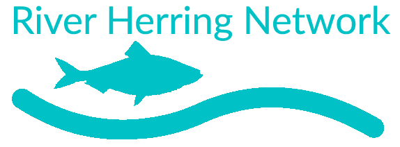 Massachusetts River Herring Network logo