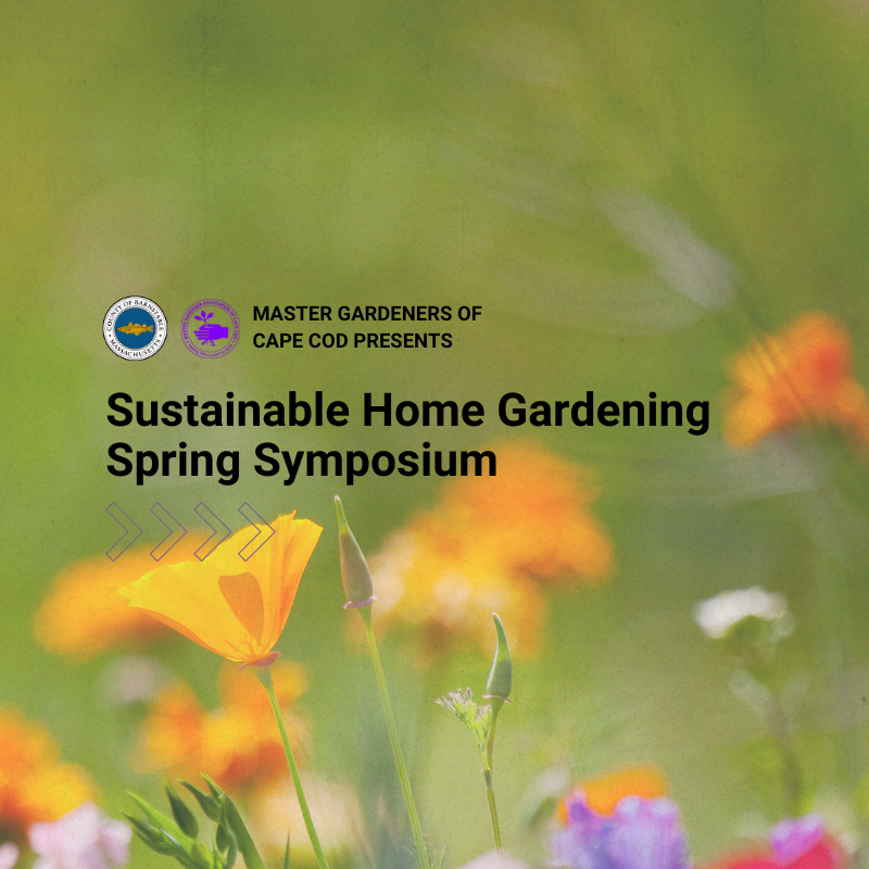 Master Gardeners of Cape Cod Presents Sustainable Home Gardening Spring Symposium.