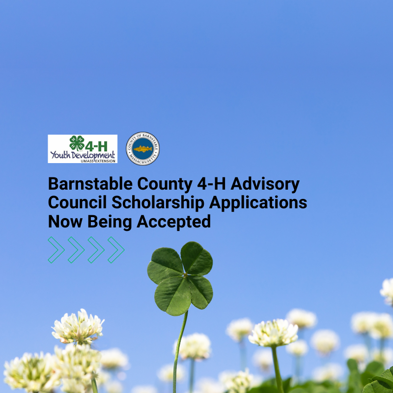 Barnstable County 4-H Advisory Council Scholarship Applications Now Being Accepted.