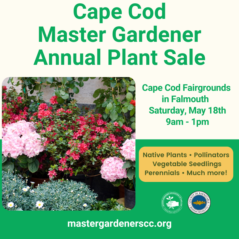 Cape Cod
Master Gardener 
Annual Plant Sale. Cape Cod Fairgrounds 
in Falmouth  
Saturday, May 18th
9am - 1pm. Accompanying image is of a native garden.