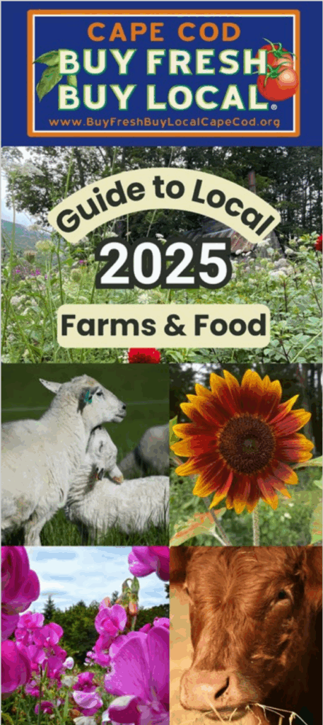 Cover of the 2025 Cape Cod Buy Fresh Buy Local Guide to Local Farms and Food. The top section features the Buy Fresh Buy Local Cape Cod logo with a tomato and website URL. Below, text reads “Guide to Local 2025 Farms & Food” over a background of flowers and a rustic farm scene. Four smaller photos at the bottom show sheep, a sunflower, pink flowers, and a cow.