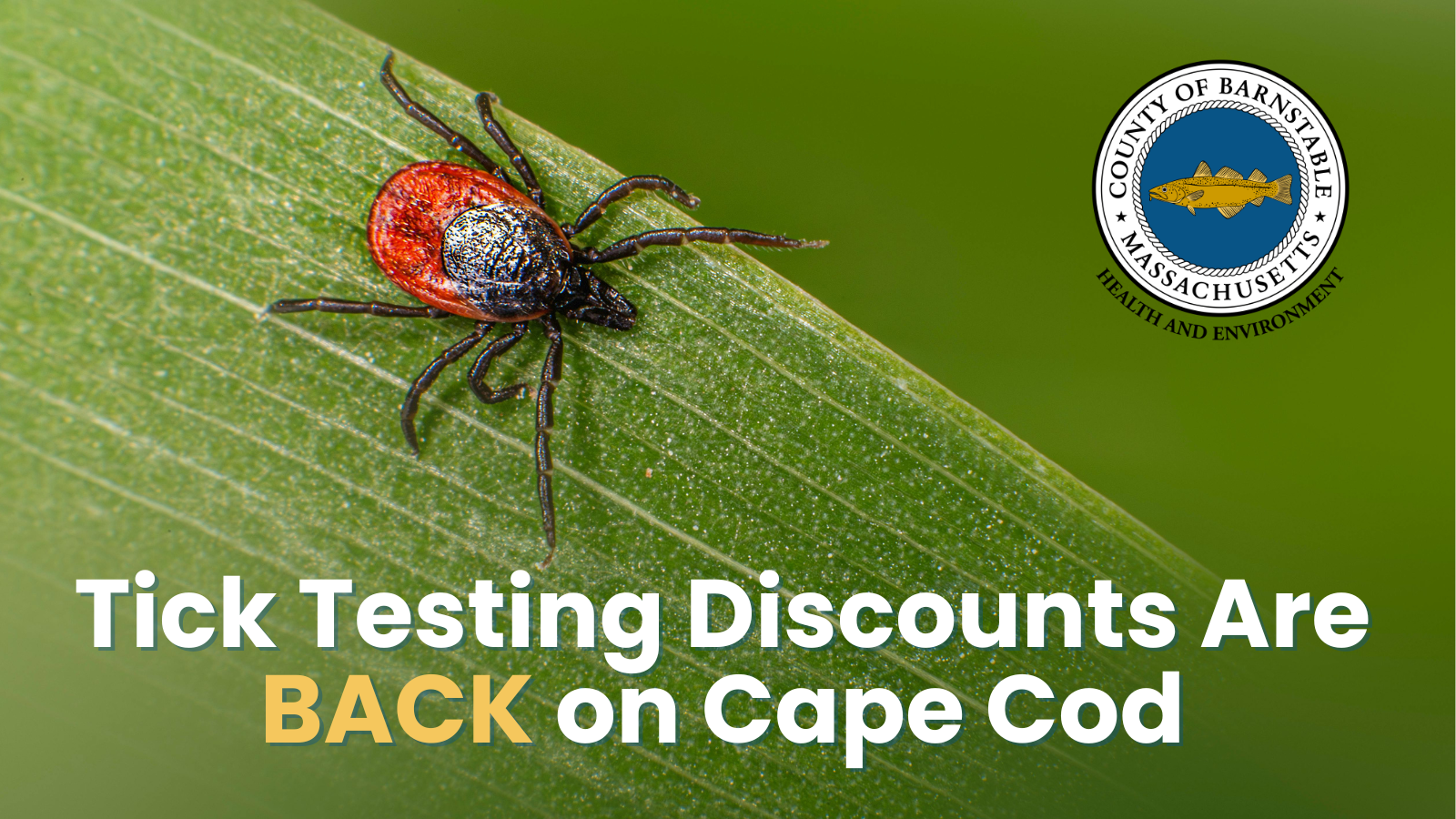 Close-up photo of a deer tick on a green leaf. Bold white and gold text reads "Tick Testing Discounts Are BACK on Cape Cod." The Barnstable County Department of Health and Environment seal appears in the upper right corner.