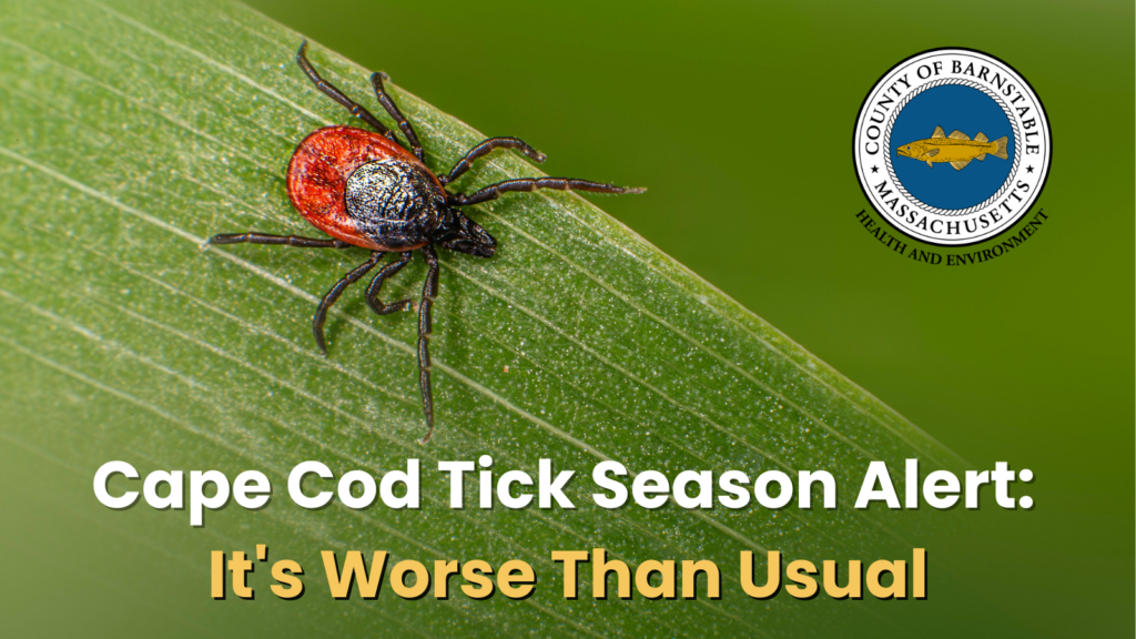 Close-up photograph of a deer tick on a green leaf, with the Barnstable County Health and Environment seal in the upper right corner and the text "Cape Cod Tick Season Alert: It's Worse Than Usual.