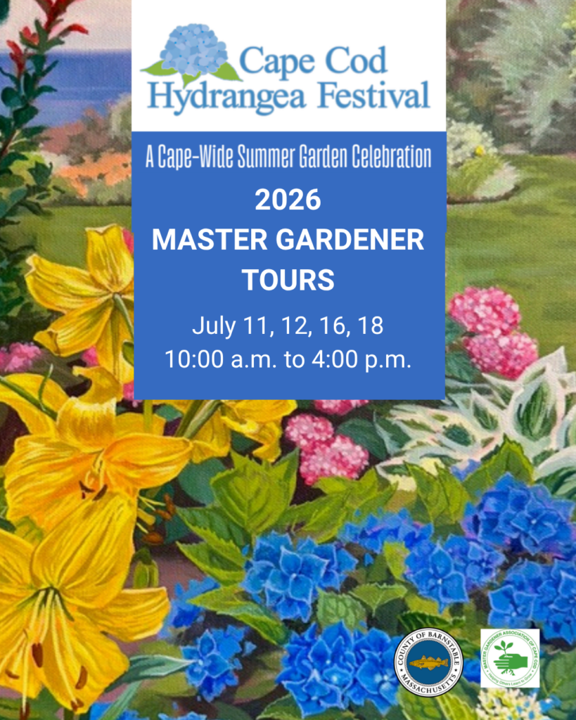 Explore Master Gardener Garden Tours During the 2026 Cape Cod Hydrangea Festival