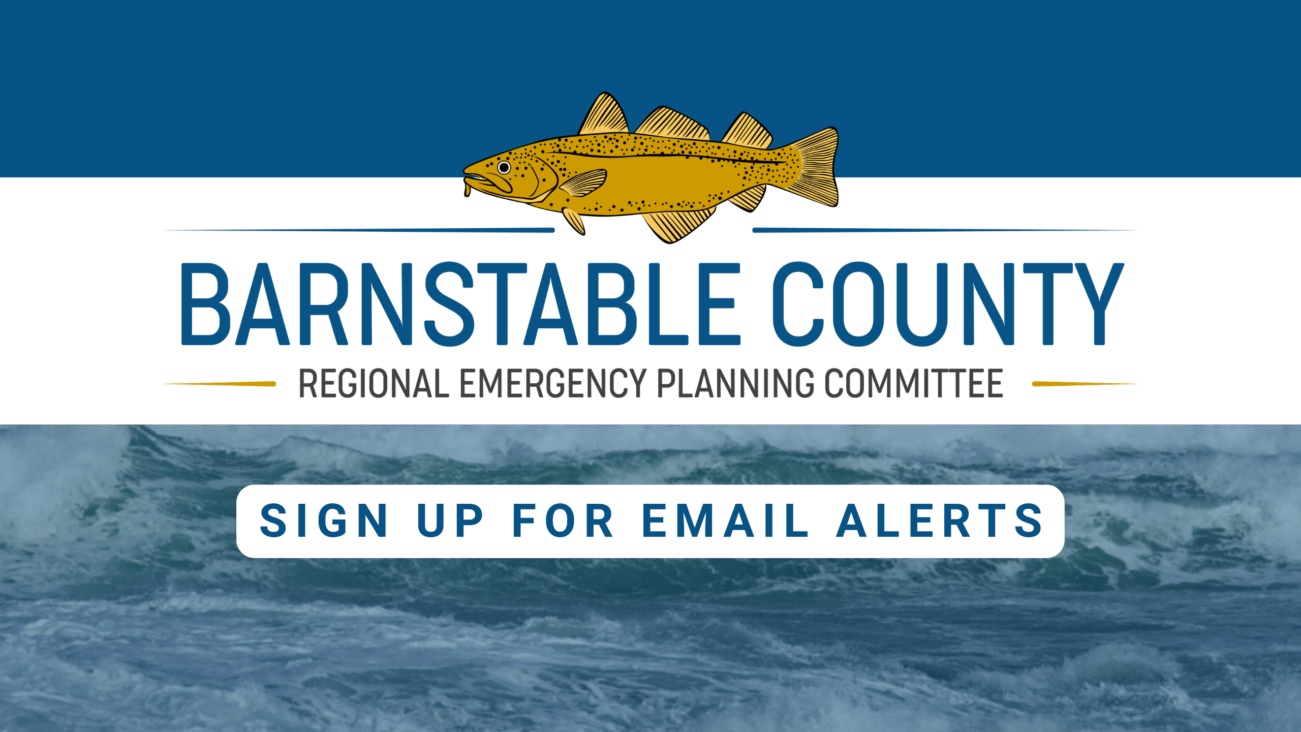 Email Alerts REPC