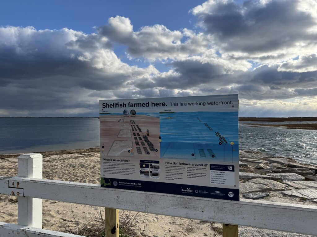 Educational shellfish aquaculture sign installed along a Cape Cod shoreline overlooking a tidal flat and coastal waters. The sign explains oyster farming, aquaculture practices, and waterfront safety, with dramatic clouds and sunlight visible over the harbor in the background.