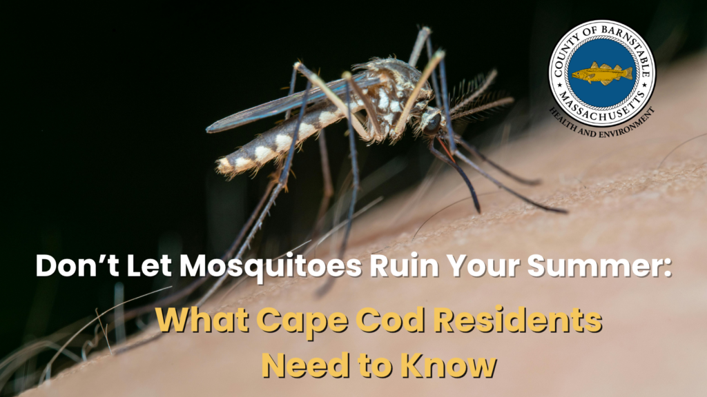 A close-up of a mosquito on skin, with the Barnstable County Health and Environment seal and text reading "Don't Let Mosquitoes Ruin Your Summer: What Cape Cod Residents Need to Know."
