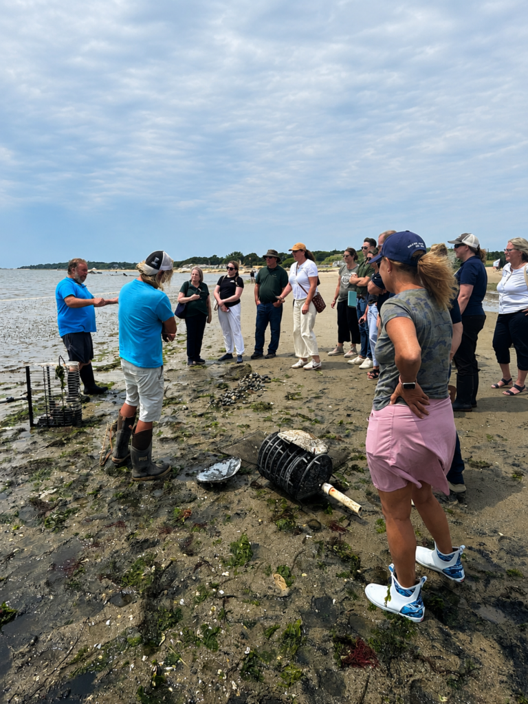 Massachusetts Department of Agricultural Resources (MDAR) staff gather on the tidal flats as local shellfish professionals demonstrate oyster aquaculture equipment and explain oyster growing techniques. Oyster cages, seaweed, and shellfish gear are visible in the foreground.