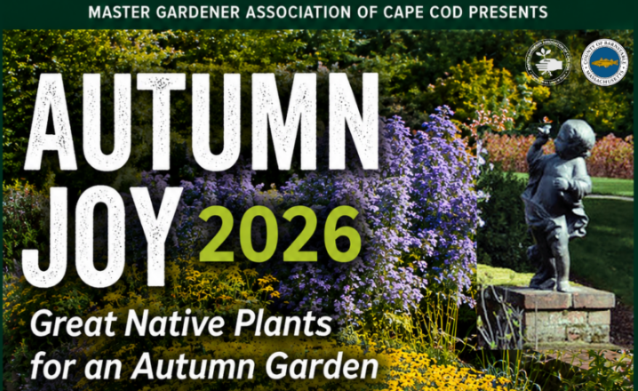 Promotional graphic for the Master Gardener Association of Cape Cod’s Autumn Joy 2026 Symposium, featuring a colorful autumn garden with purple and yellow flowers and a garden statue. Text reads, “Autumn Joy 2026: Great Native Plants for an Autumn Garden