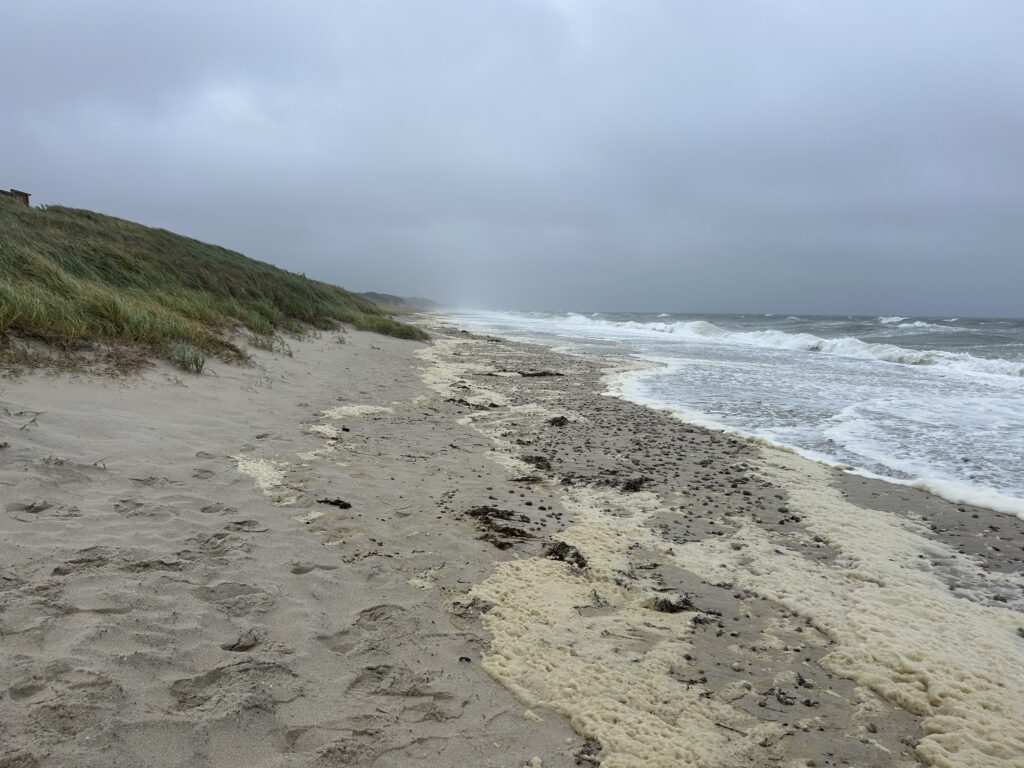 Large foamy waves break along a narrow Cape Cod beach beneath a gray stormy sky.