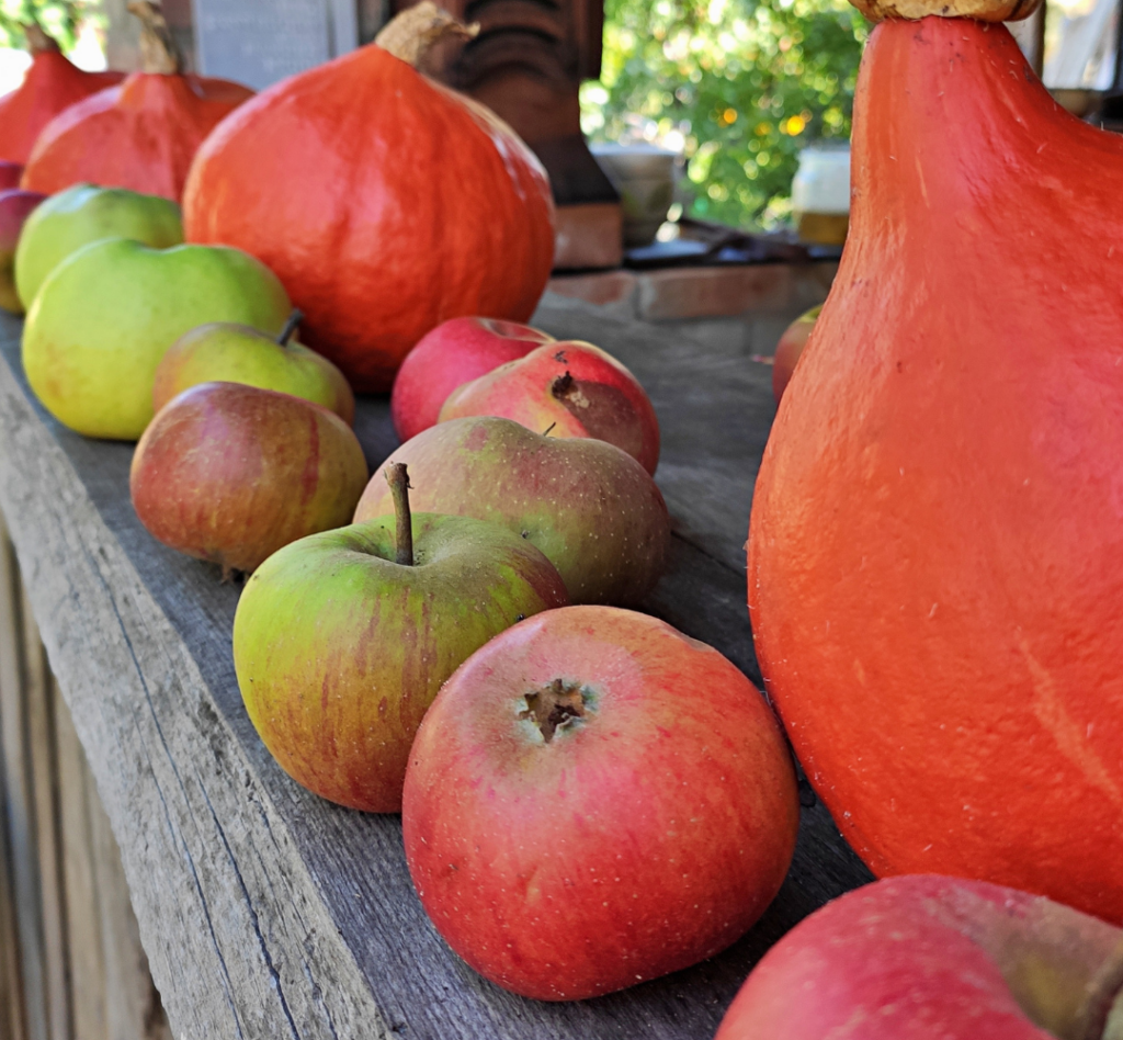 Red and green apples displayed beside bright orange winter squash on a rustic wooden farm stand.
